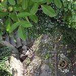 艺术酒店及旅舍 3*