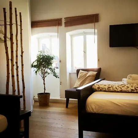 Art Hotel&hostel